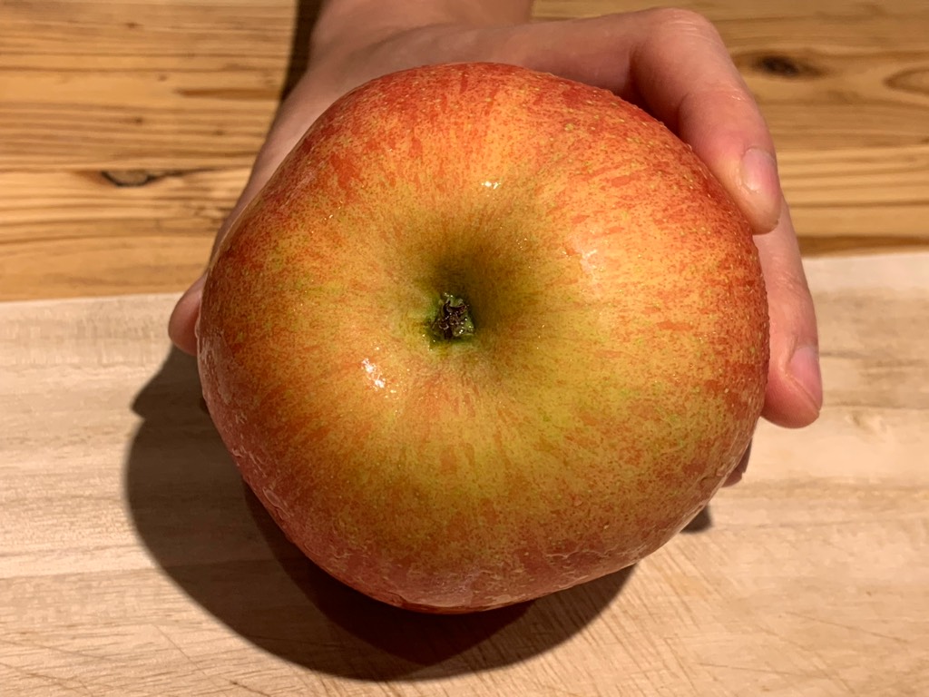 リンゴの最適な切り方を発見した話[9日目]
